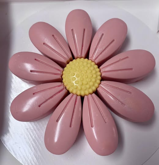 Bloom Pop